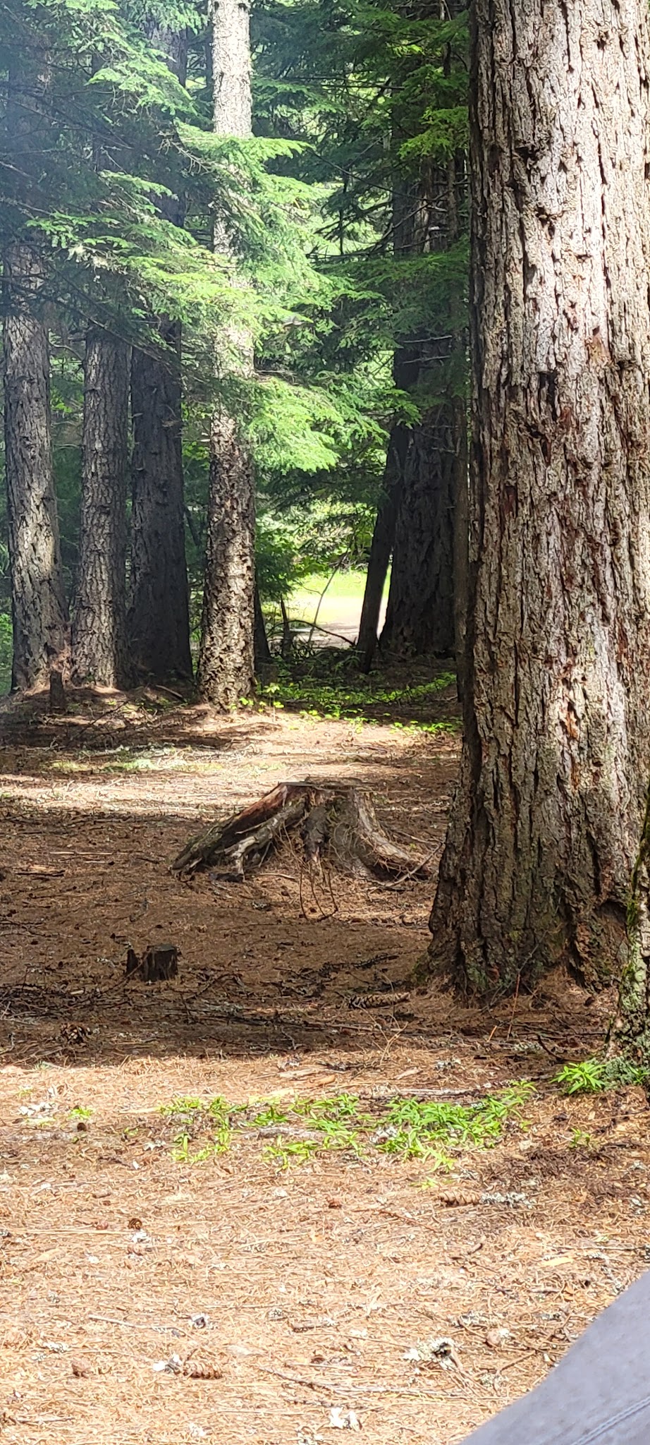 Marten Creek Campground