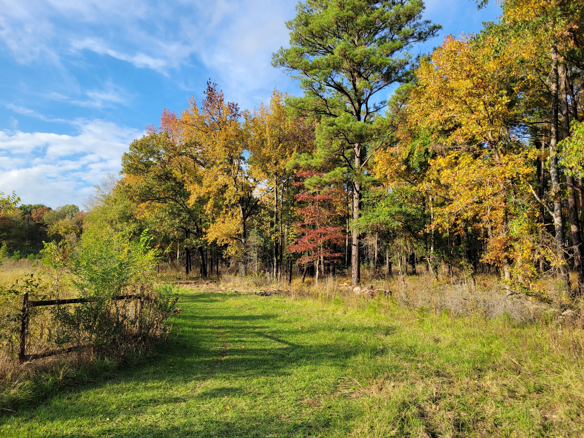 Martin Creek Lake State Park