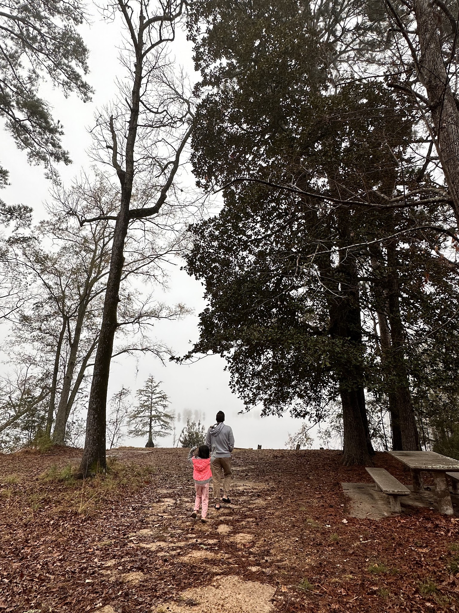 Martin Dies Jr. State Park