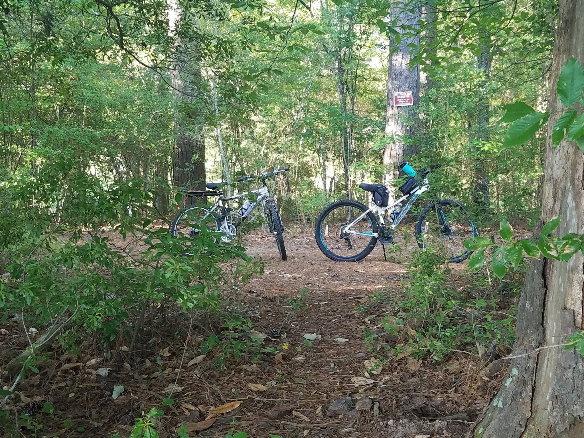 Martin Dies Jr. State Park