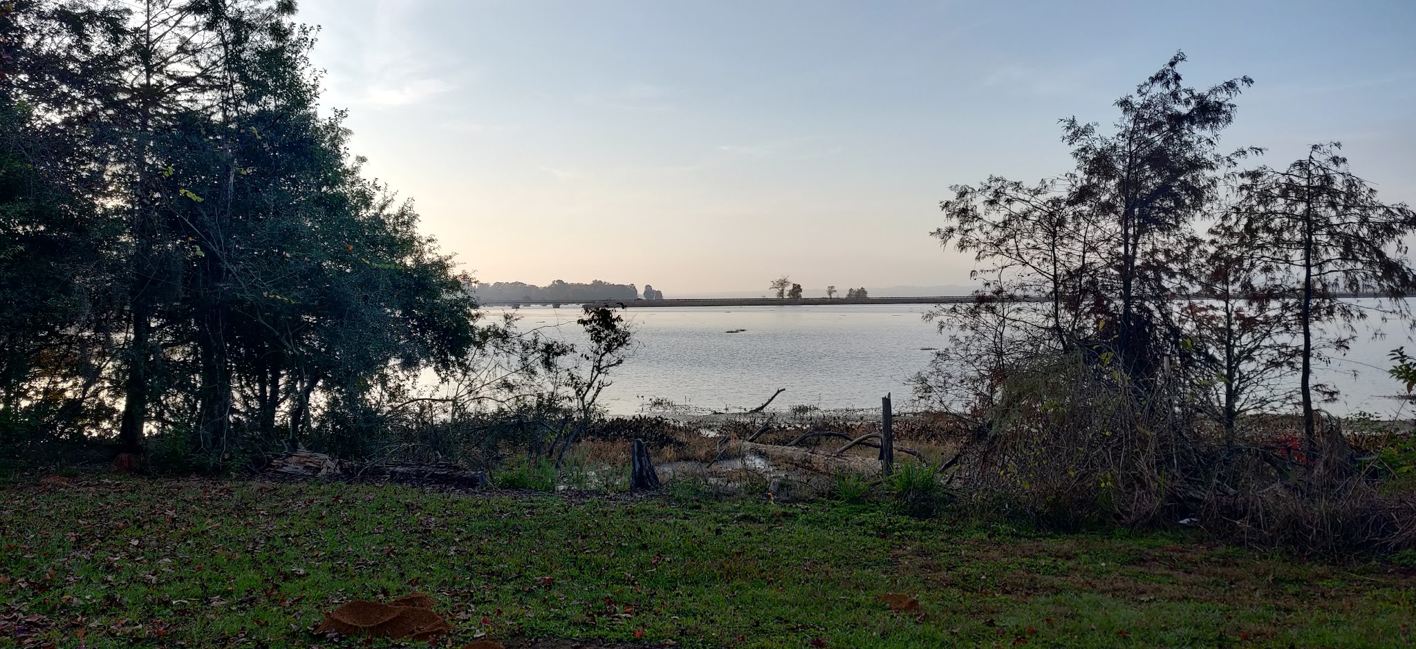 Martin Dies Jr. State Park