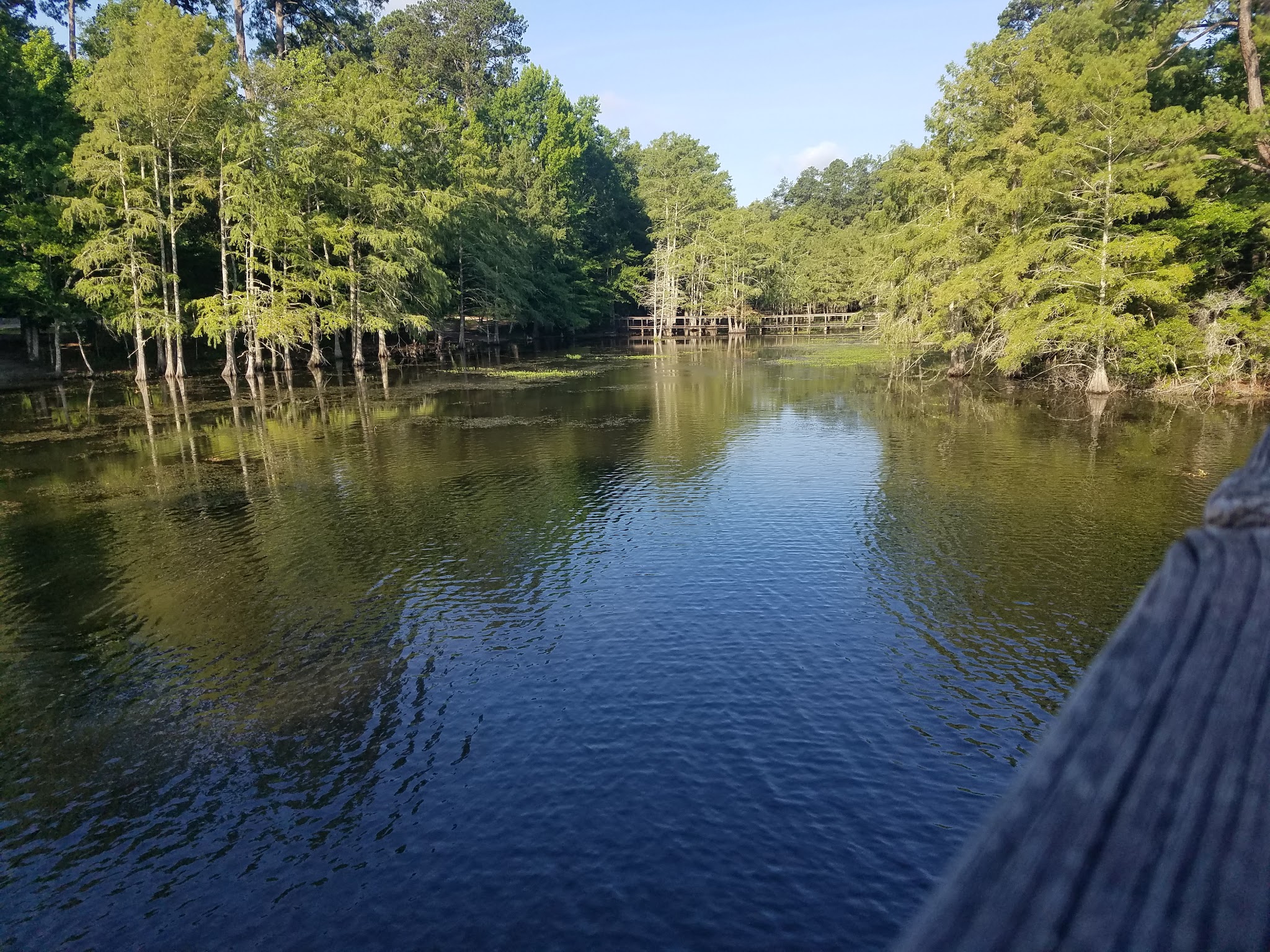 Martin Dies Jr. State Park