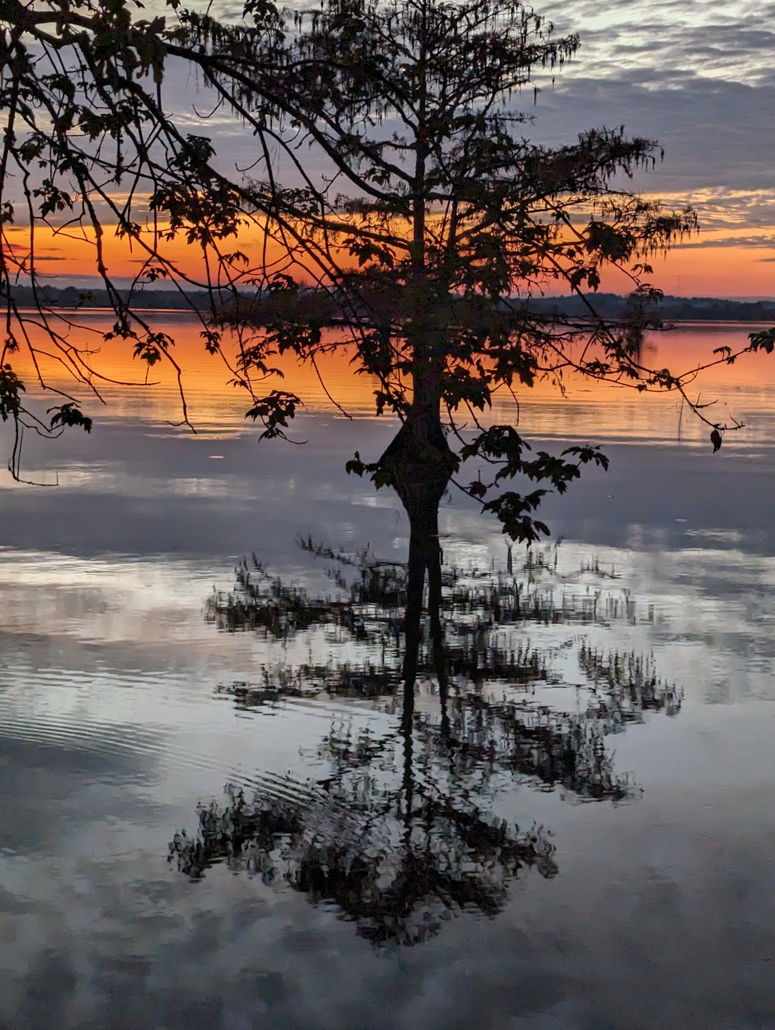 Martin Dies Jr. State Park