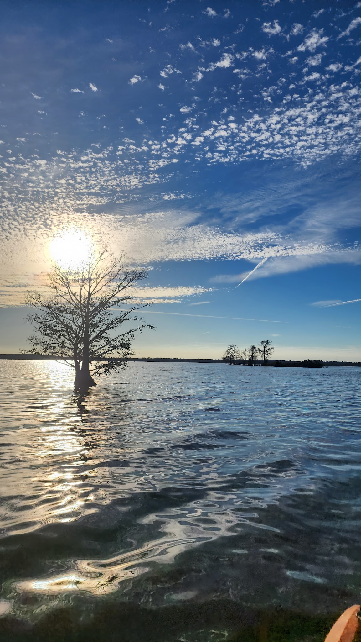 Martin Dies Jr. State Park