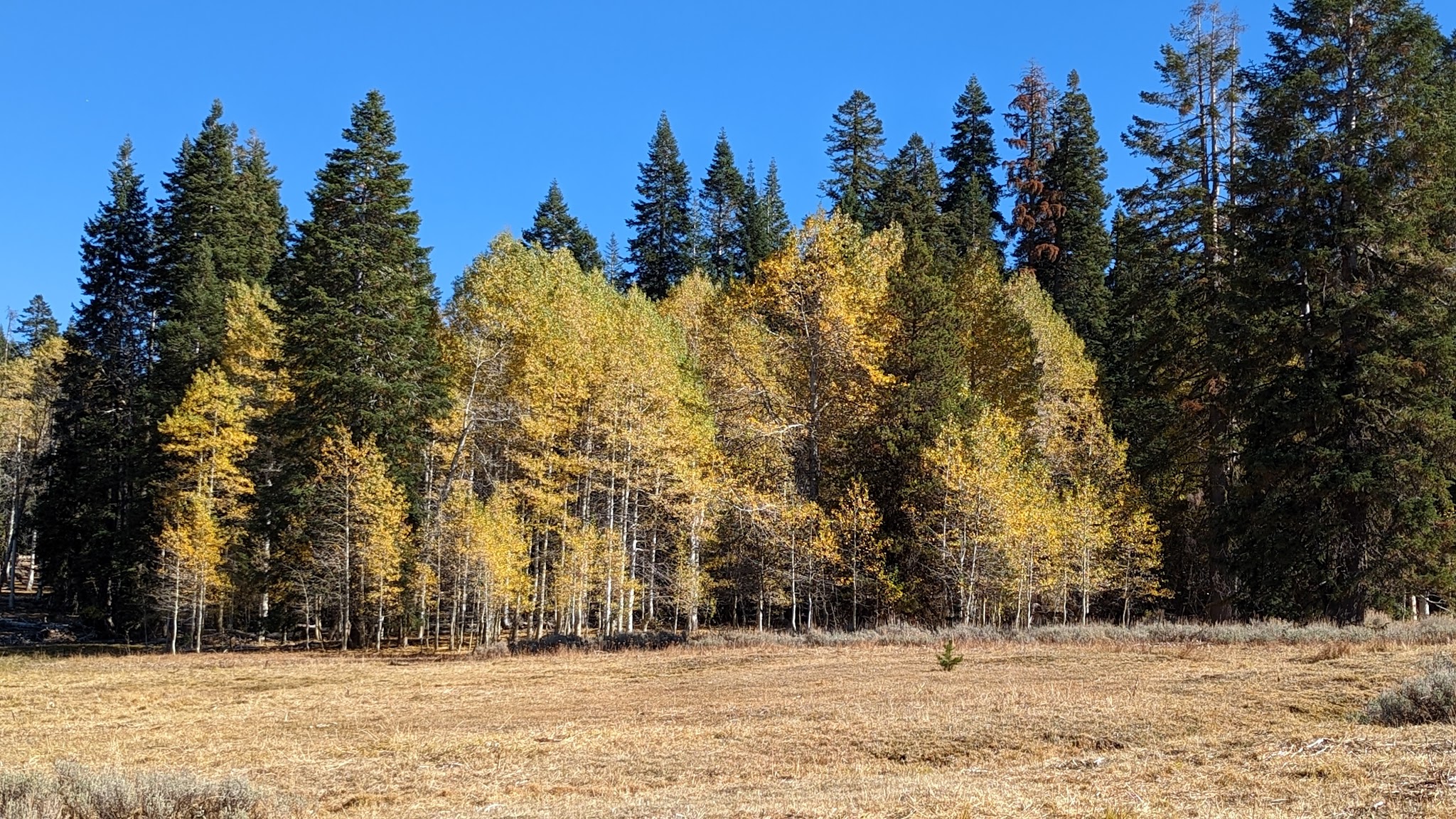 Martins Dairy Campground