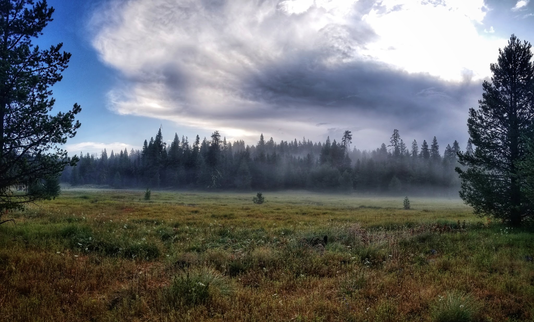 Martins Dairy Campground