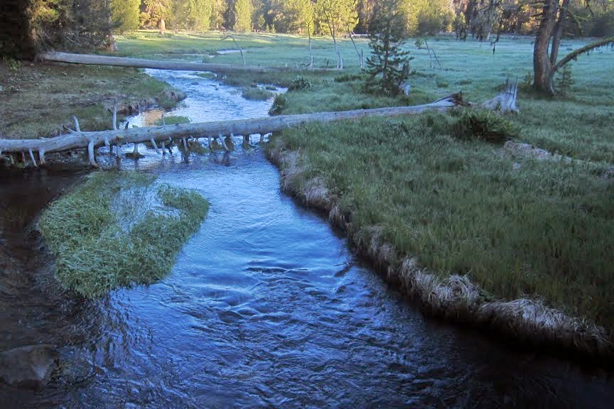 Martins Dairy Campground