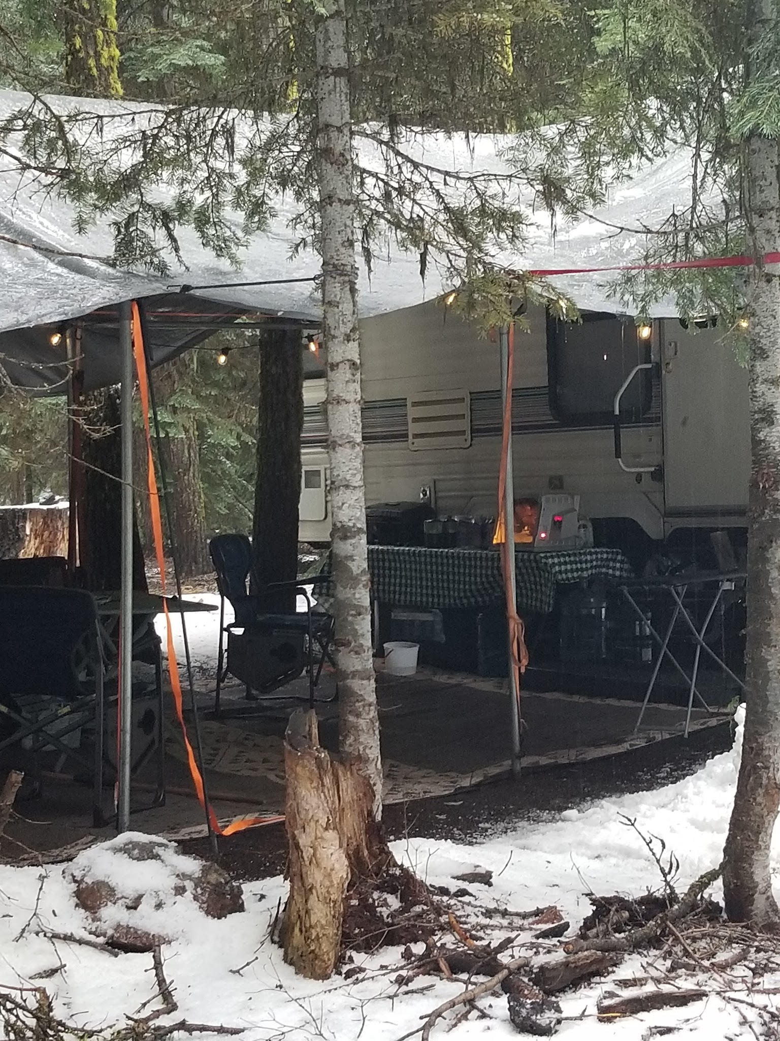 Martins Dairy Campground