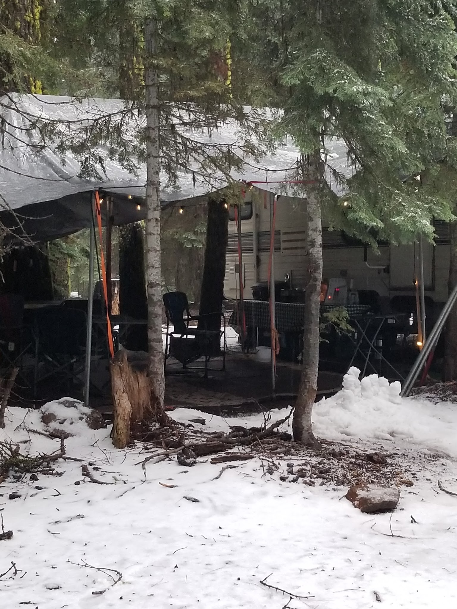 Martins Dairy Campground