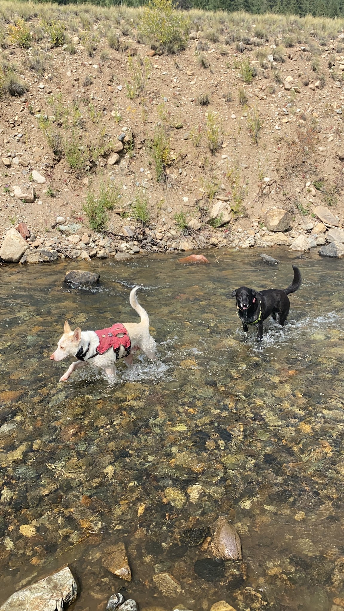 Mary E Campground - Norwood Rd