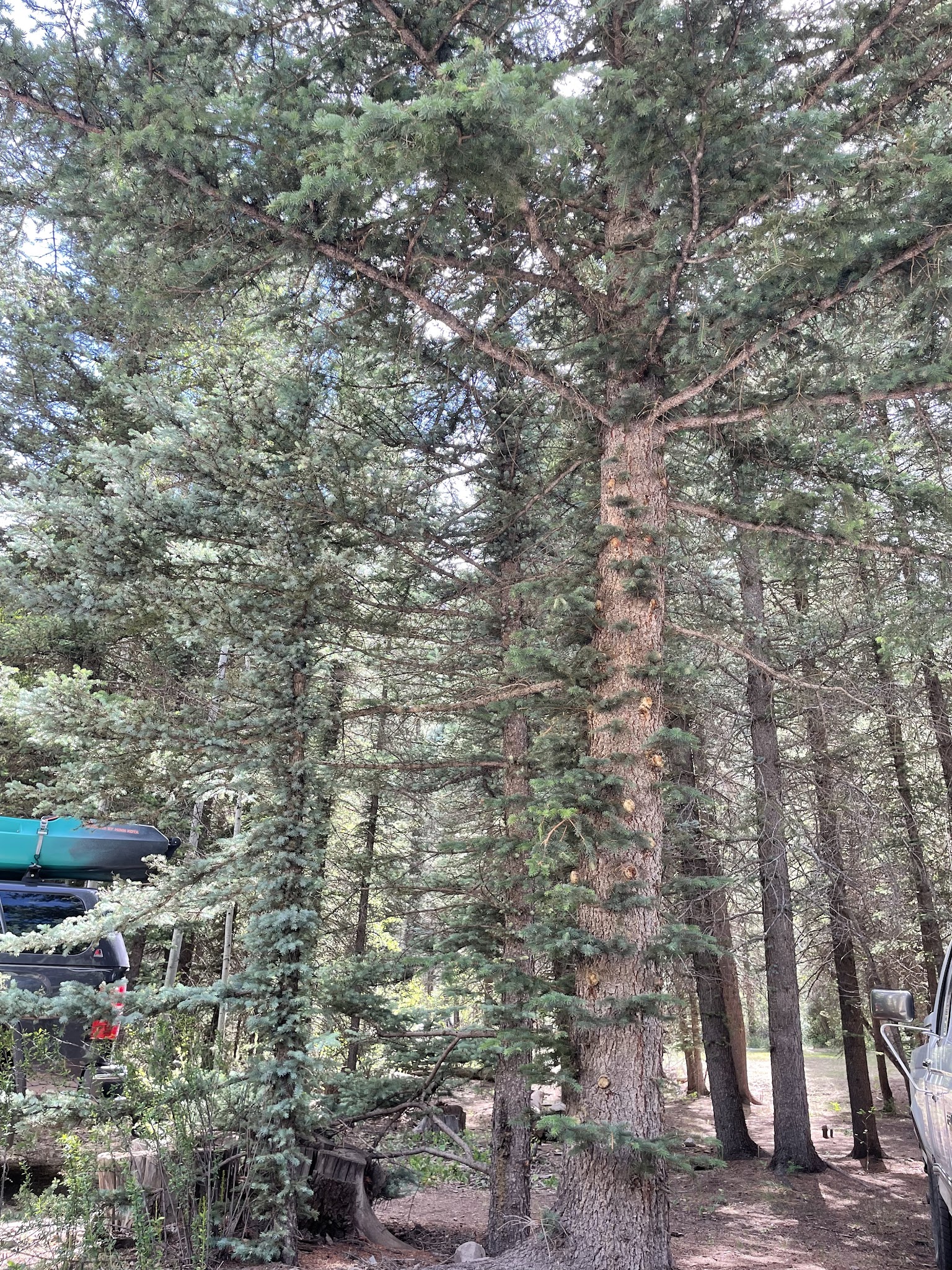 Mary E Campground - Norwood Rd