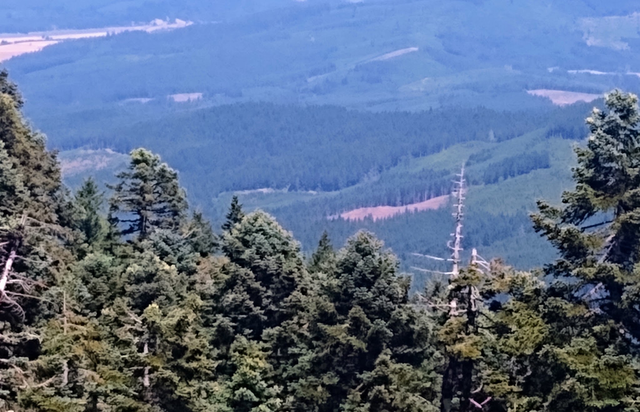 Marys Peak Campground