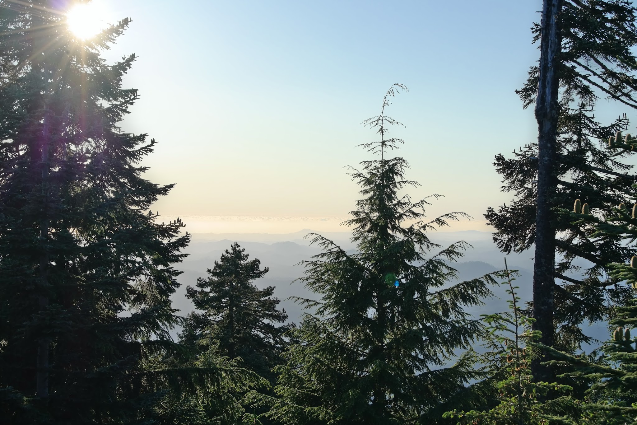 Marys Peak Campground