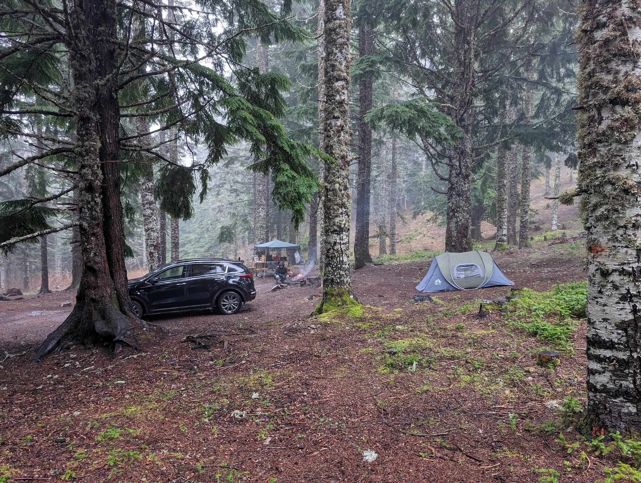 Marys Peak Campground