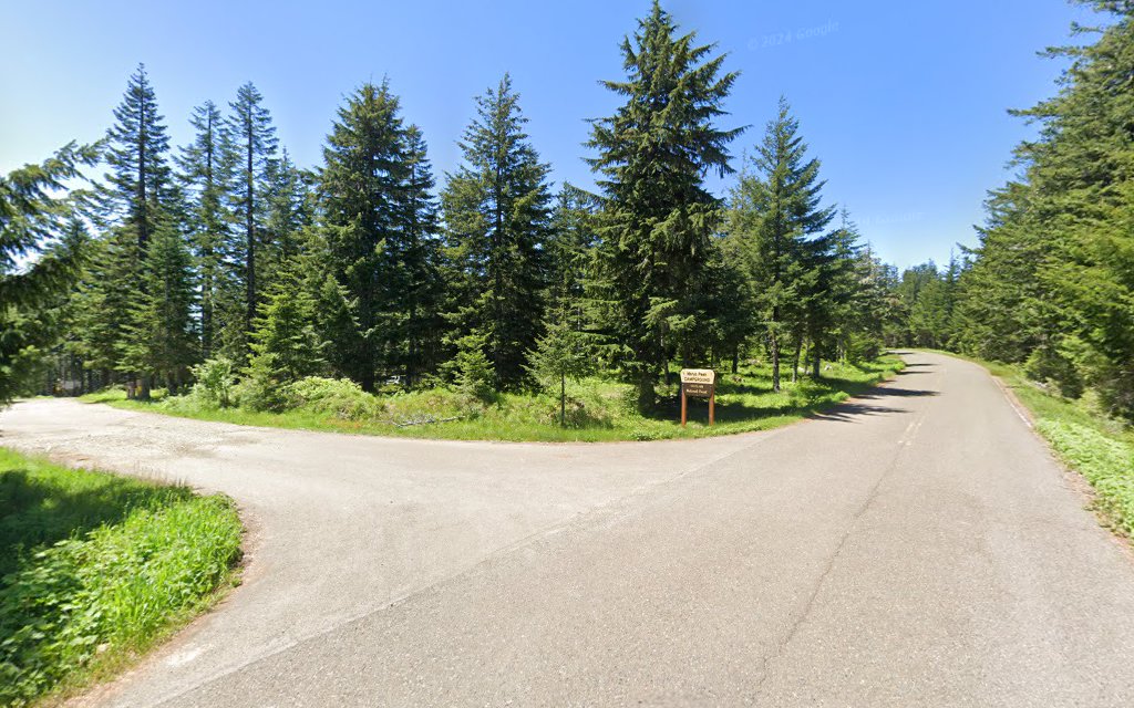 Marys Peak Campground