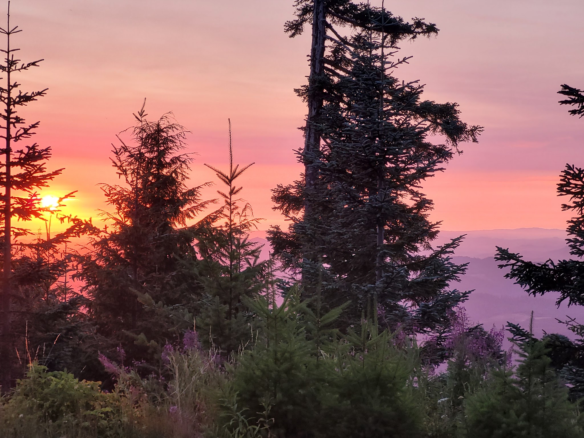 Marys Peak Campground