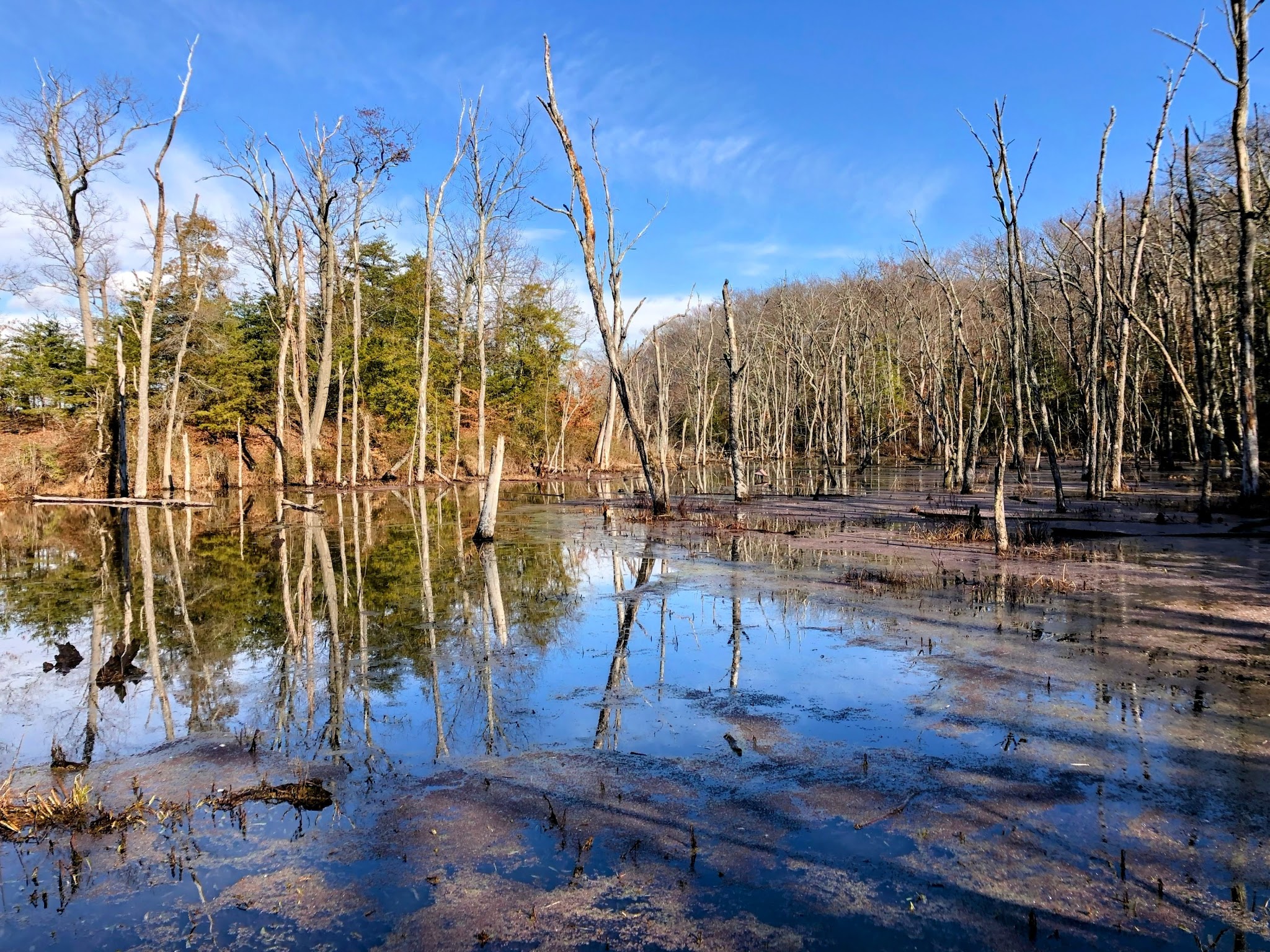 Paddle In Campground