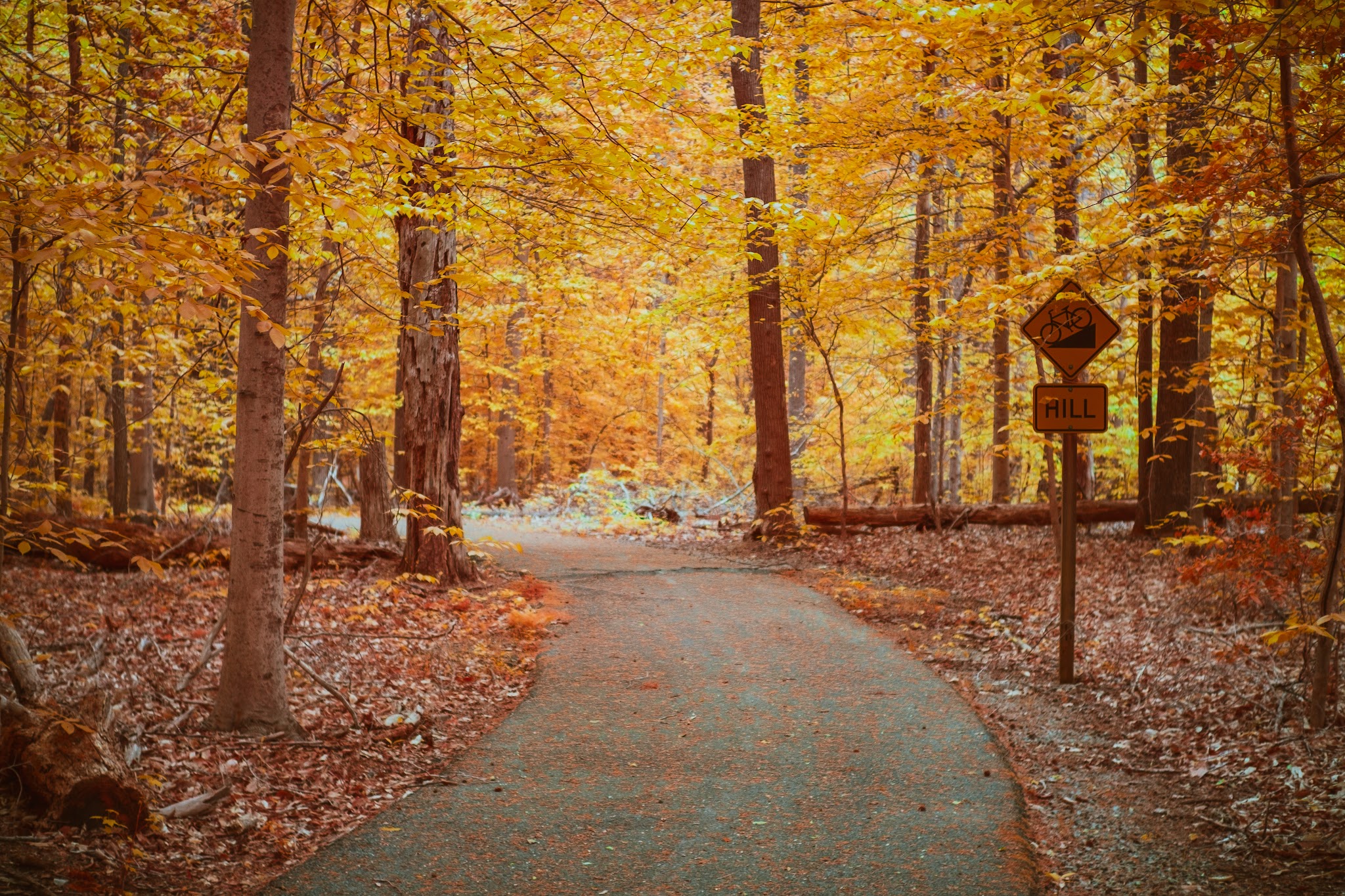 Paddle In Campground