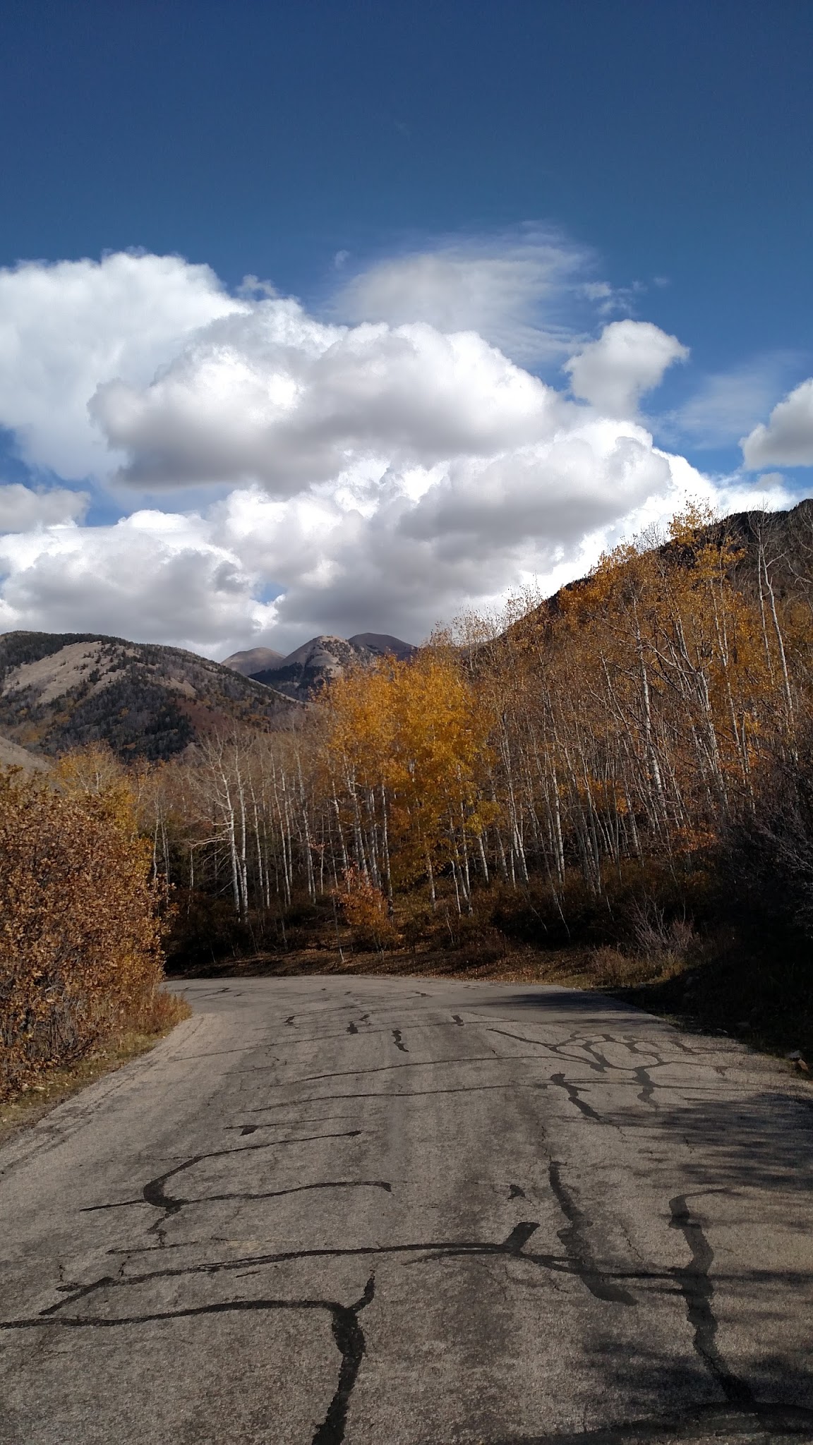 Mason Draw Campground