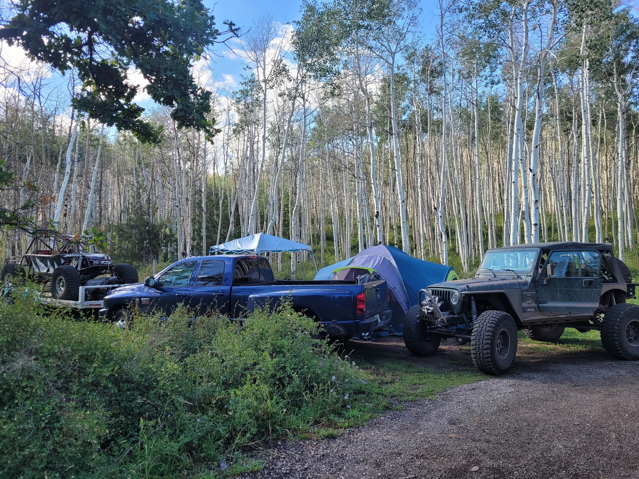 Mason Draw Campground