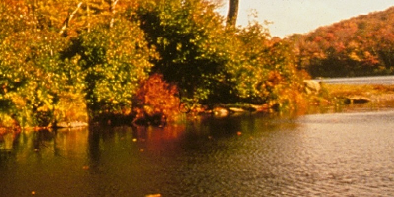 Mt. Greylock State Reservation