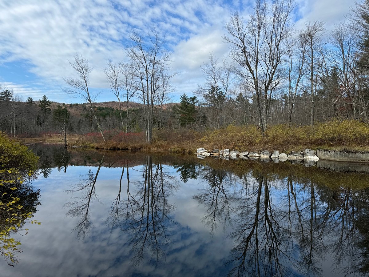 Clarksburg State Park