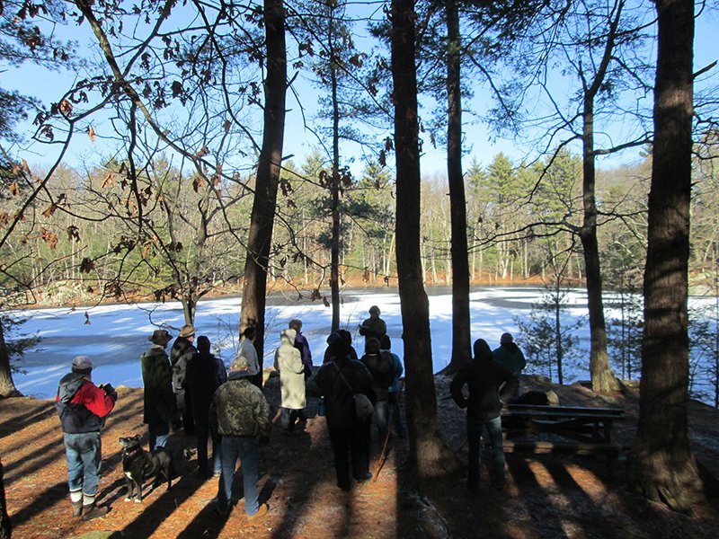 Loraine Campground At Harold Parker State Forest