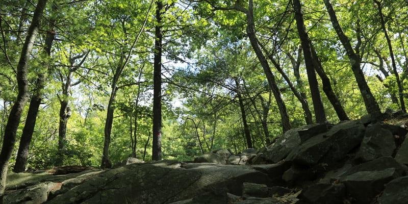 Houghton&Apos;S Pond Recreation Area
