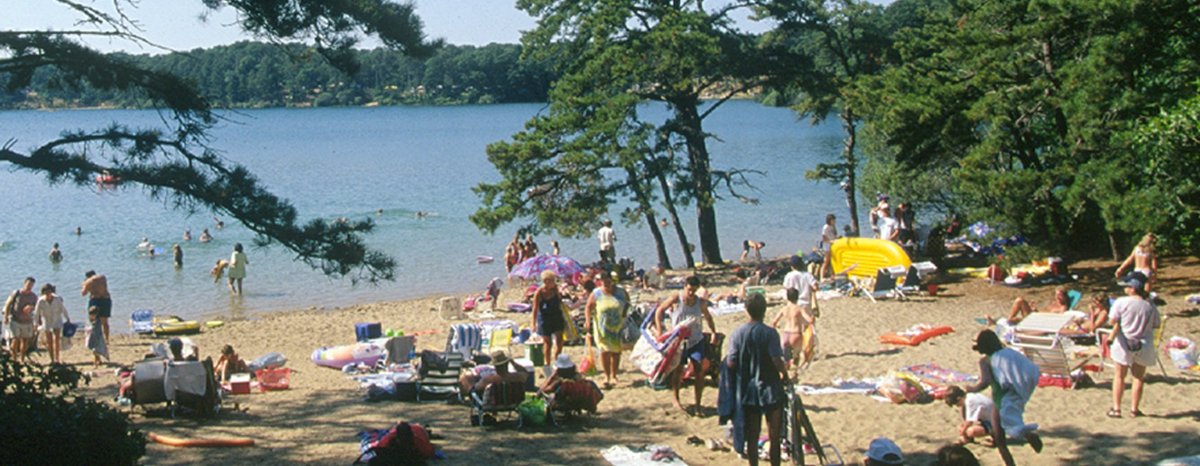 Nickerson State Park