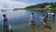Waquoit Bay Nat. Estuarine Res