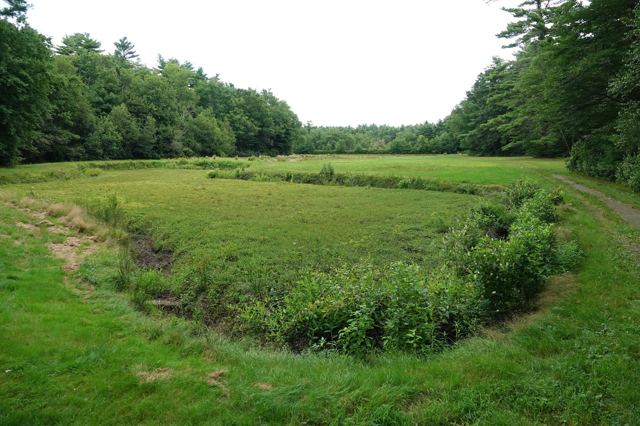 Massasoit State Park