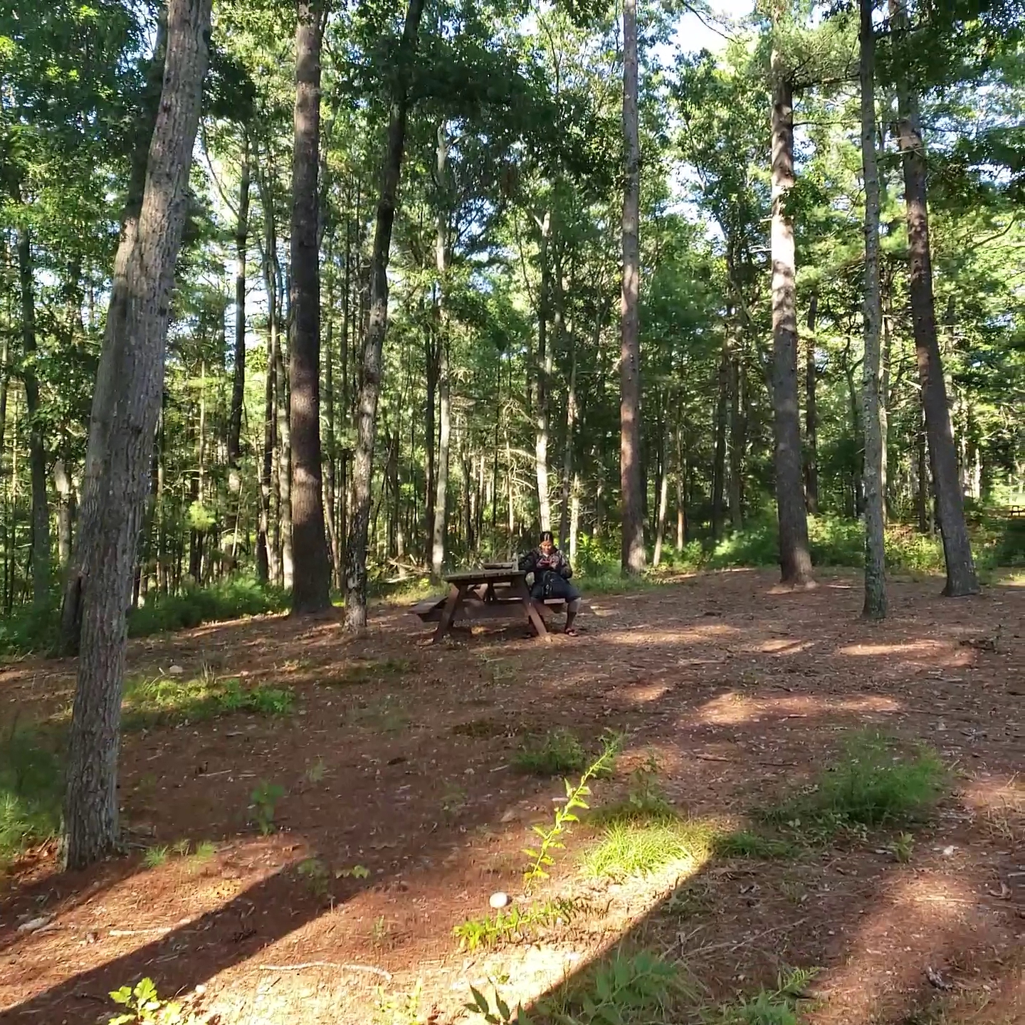 Massasoit State Park
