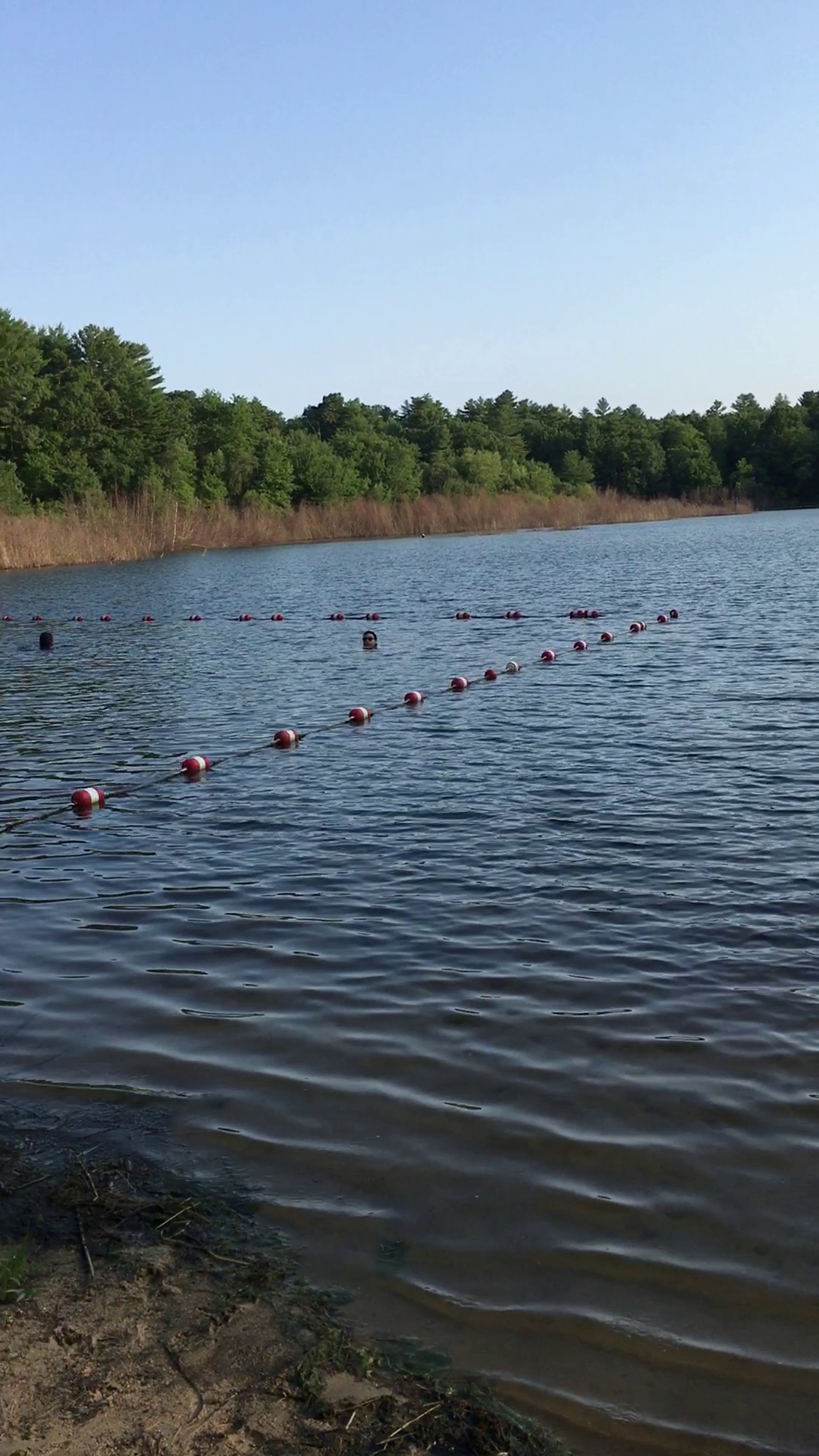 Massasoit State Park