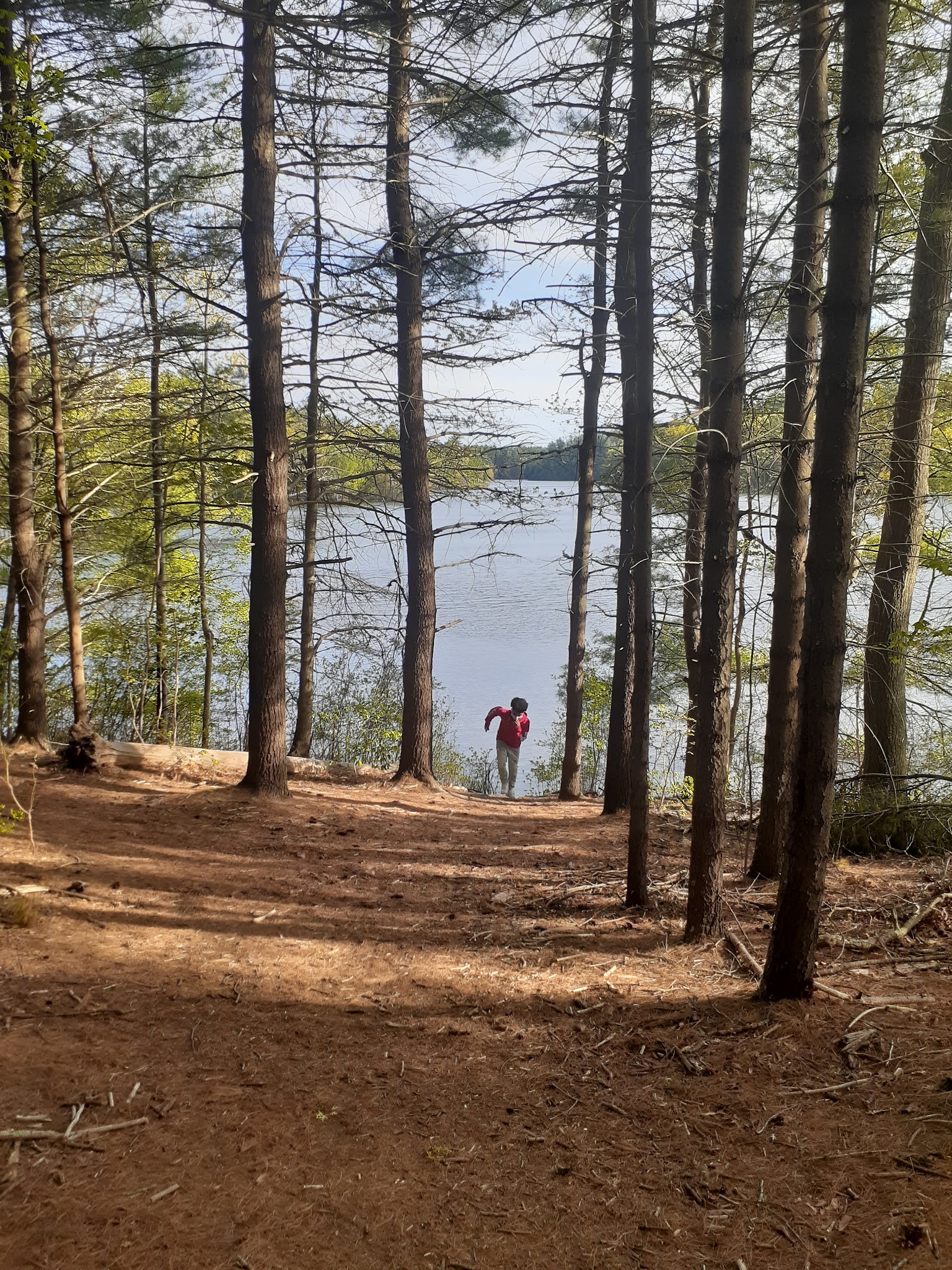 Massasoit State Park