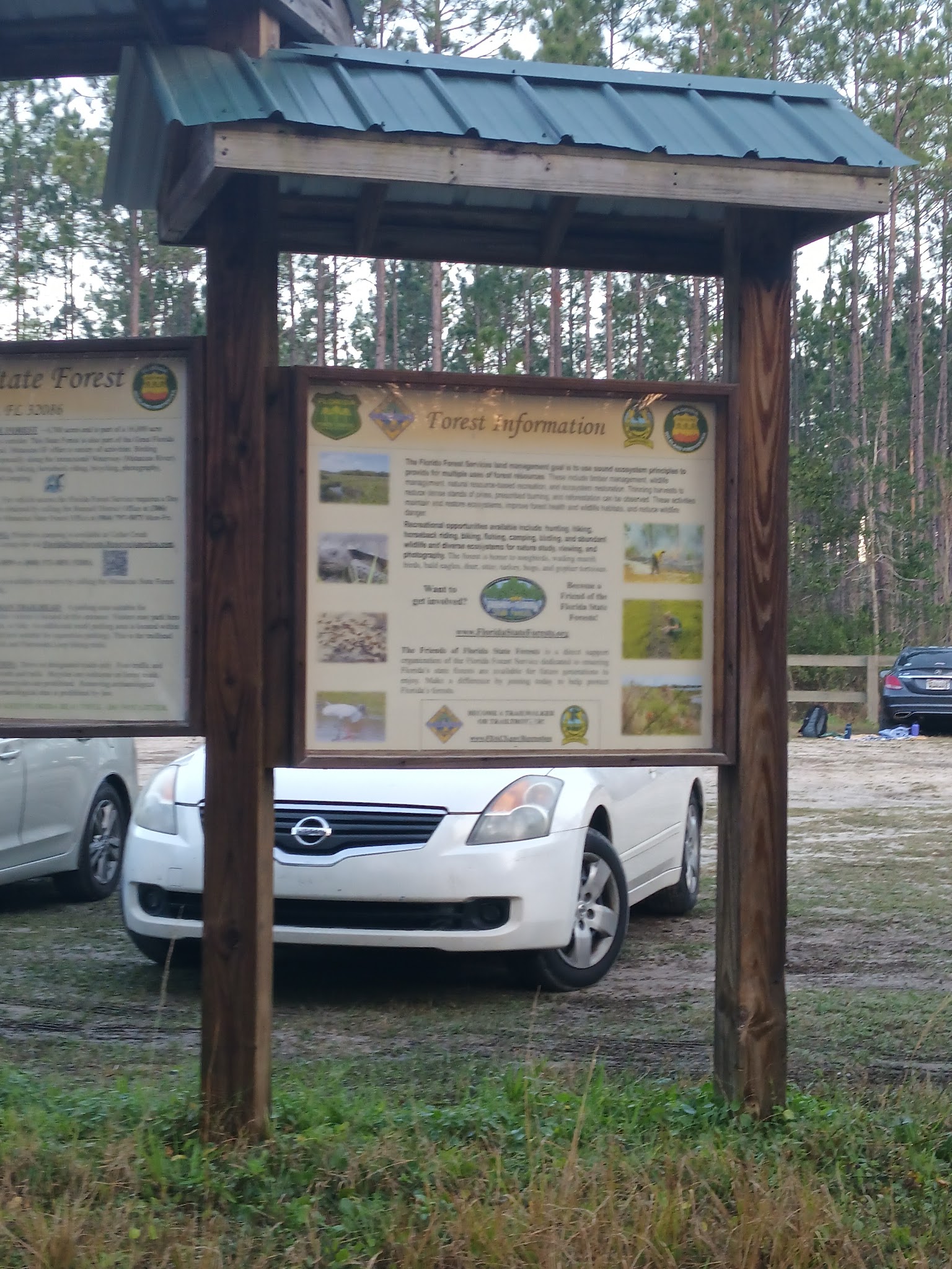 Matanzas State Forest Cedar Creek Campground