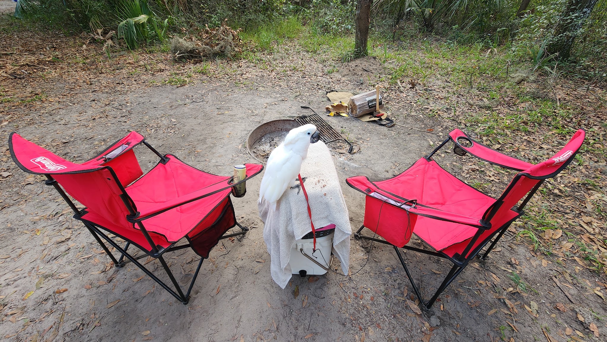Matanzas State Forest Cedar Creek Campground