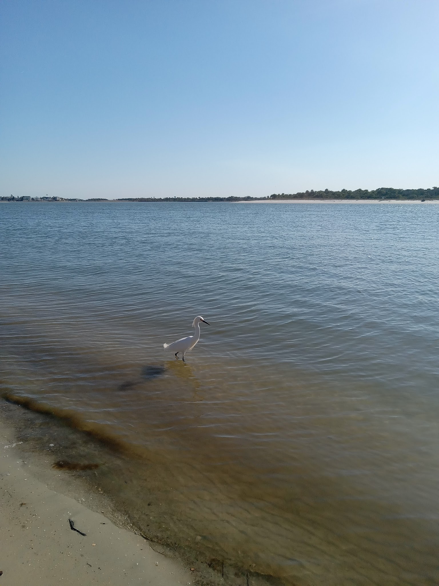 Matanzas State Forest Cedar Creek Campground