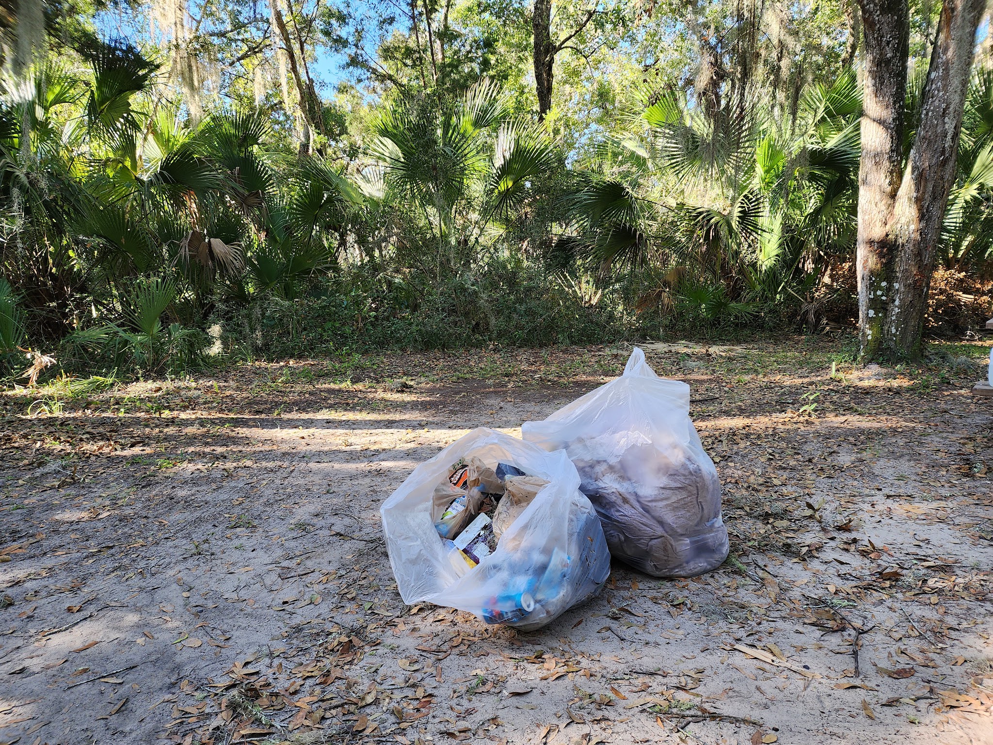 Matanzas State Forest Cedar Creek Campground
