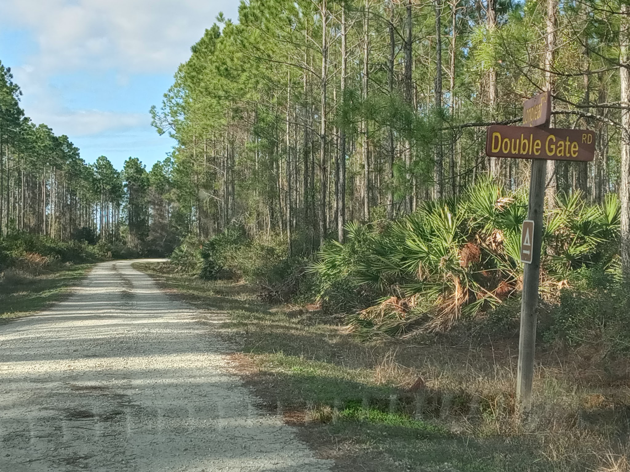 Matanzas State Forest Cedar Creek Campground