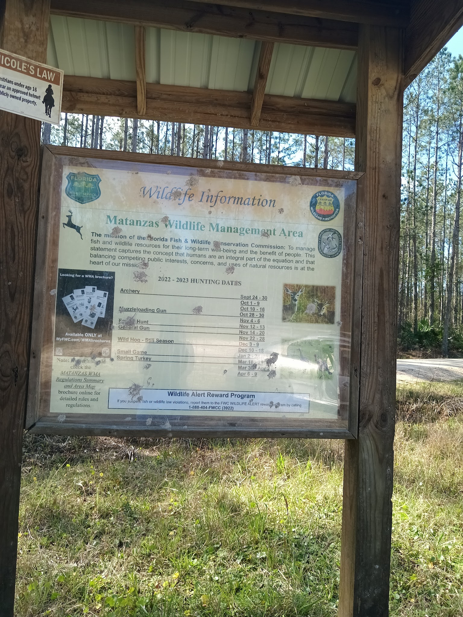 Matanzas State Forest Cedar Creek Campground