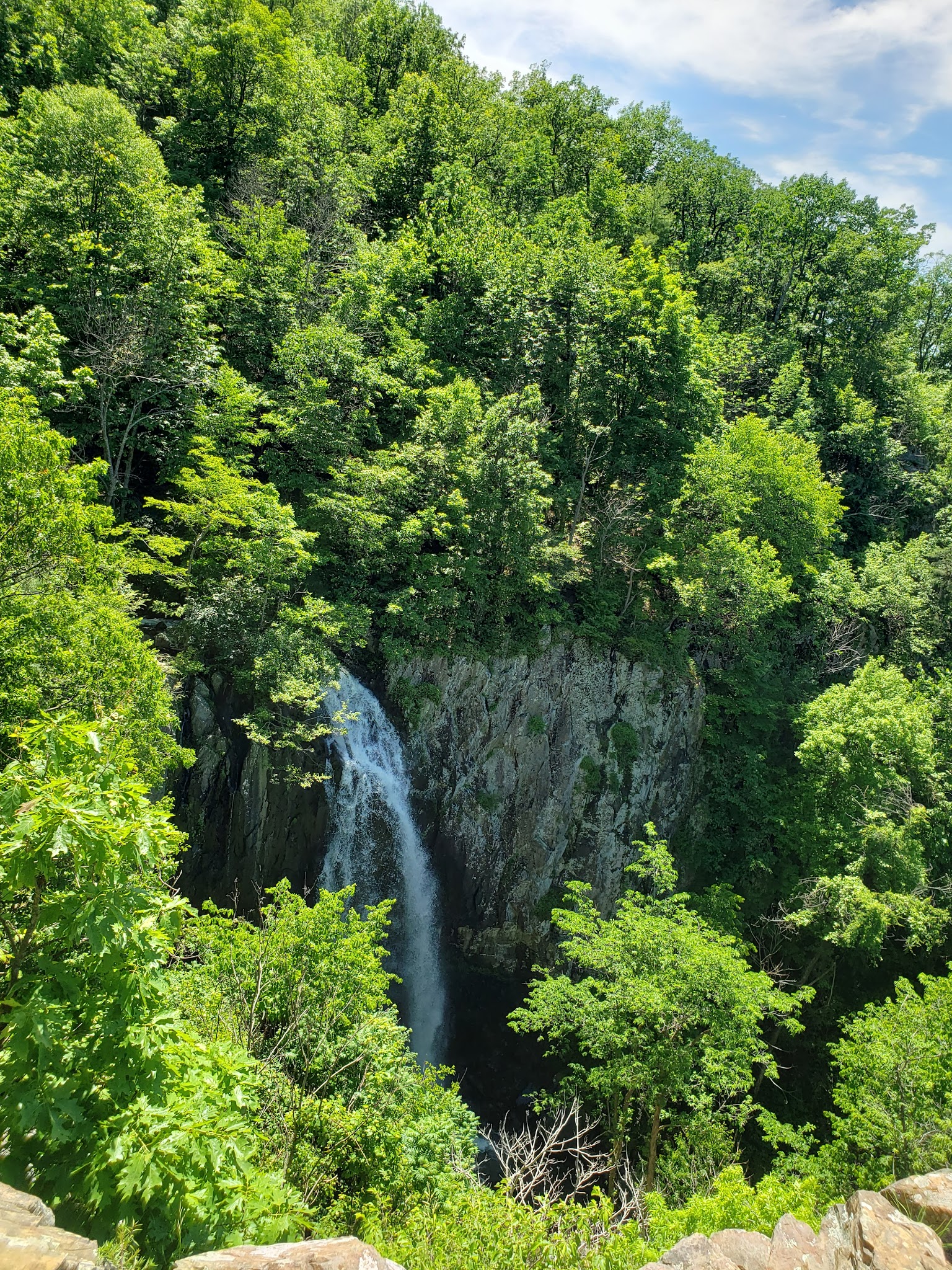 Mathews Arm Campground