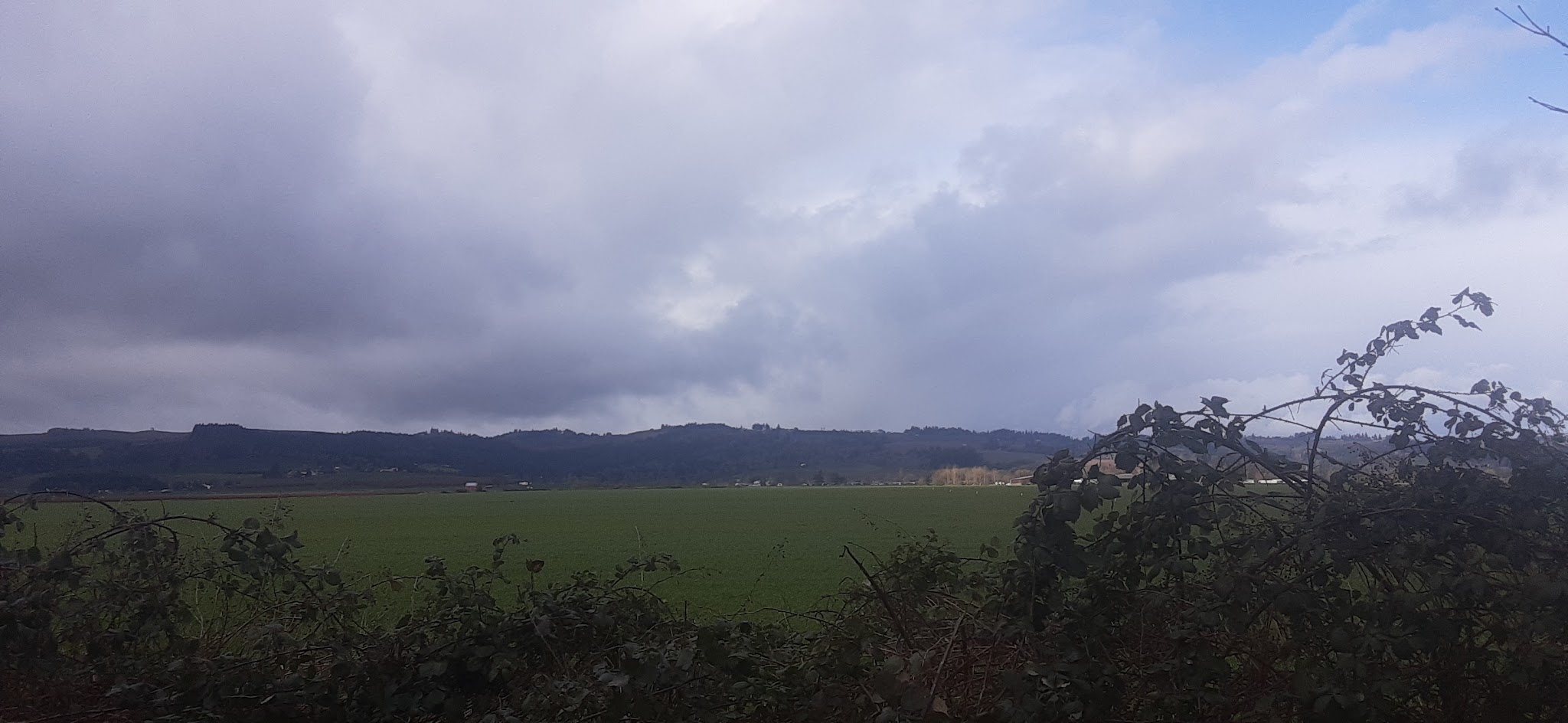 Maud Williamson State Recreation Site