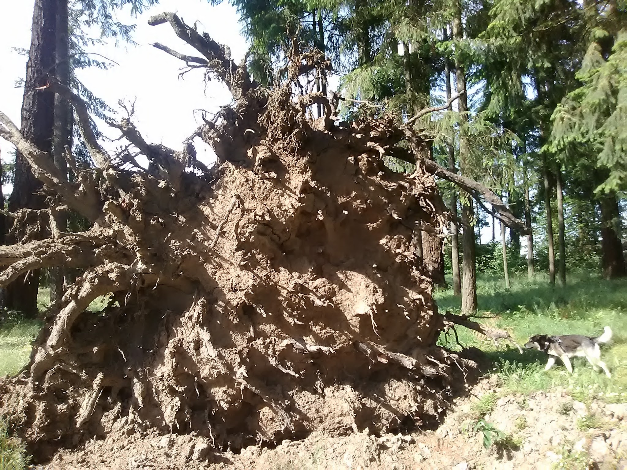 Maud Williamson State Recreation Site