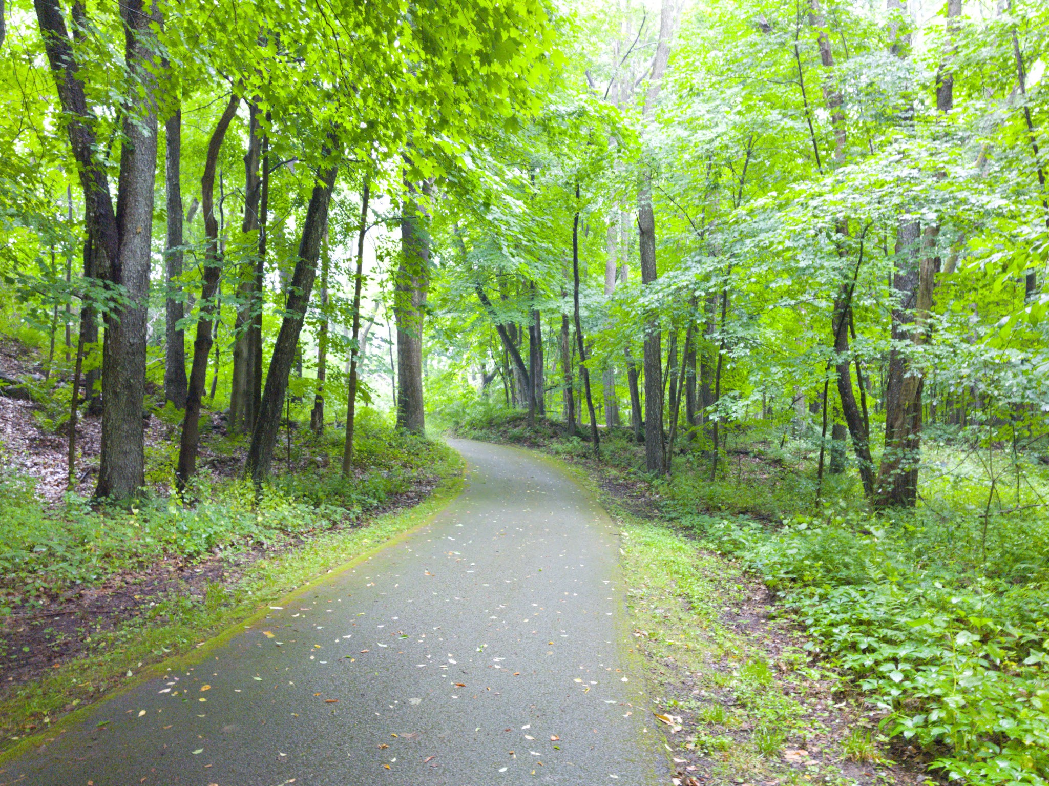 Maurice K Goddard State Park