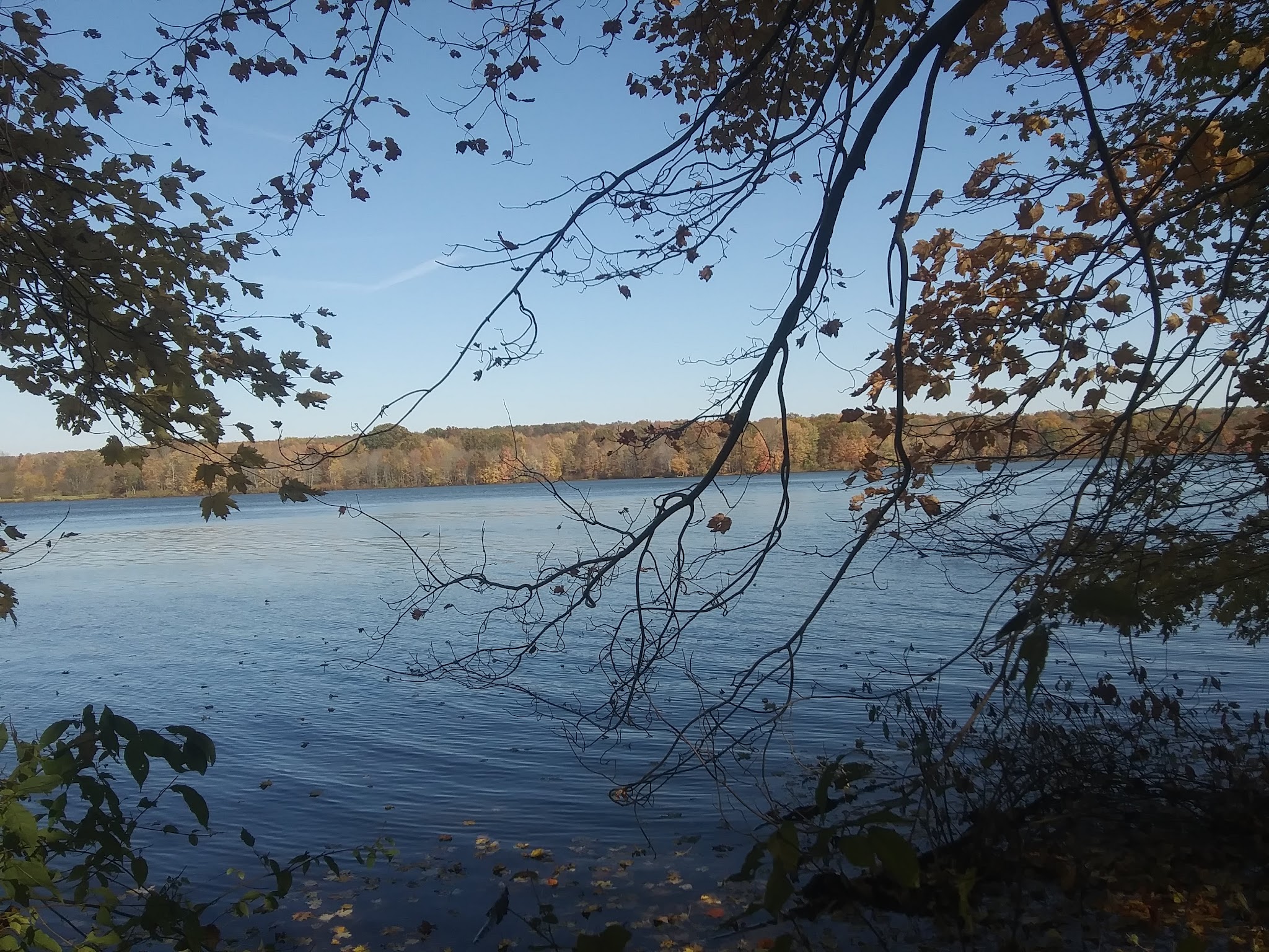 Maurice K Goddard State Park