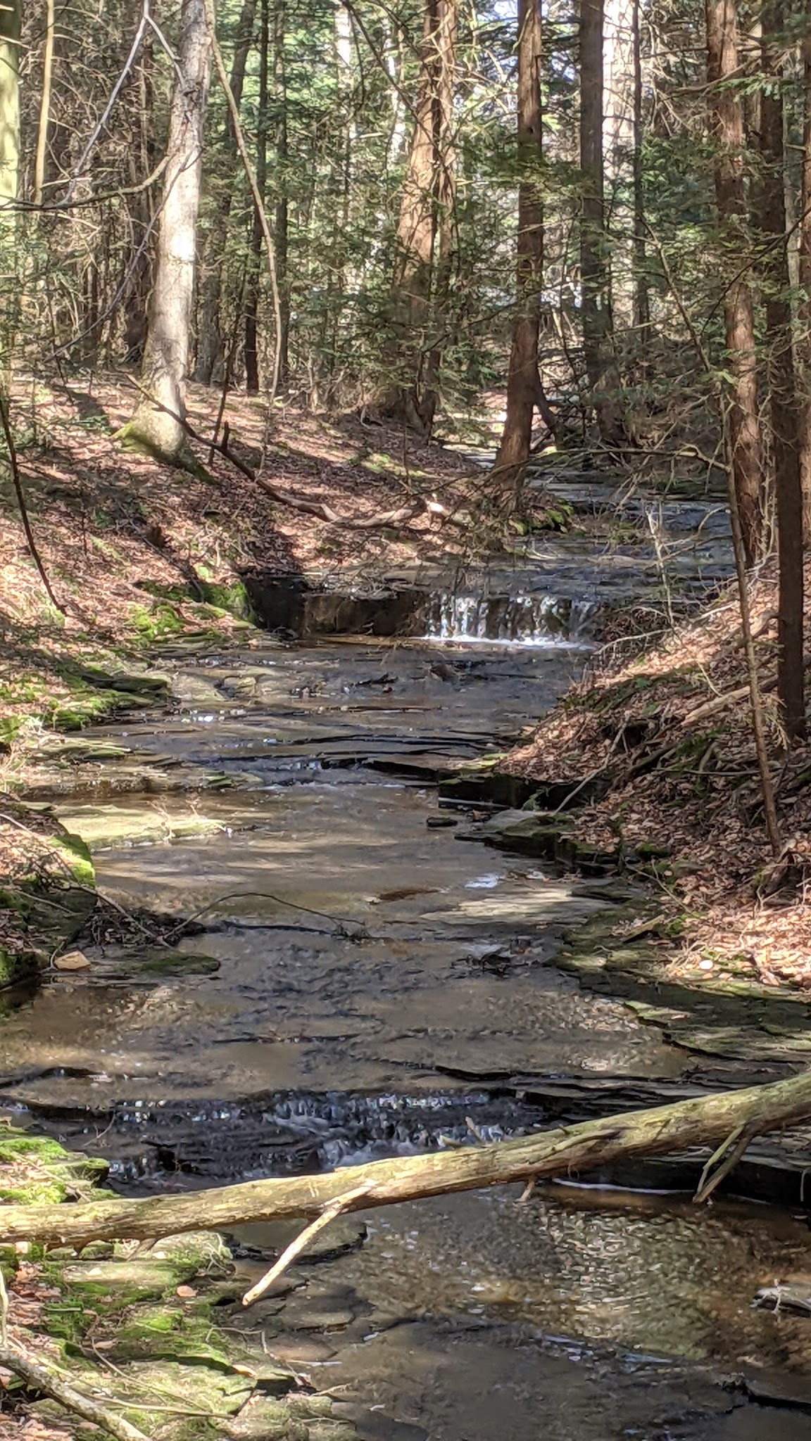 Maurice K Goddard State Park