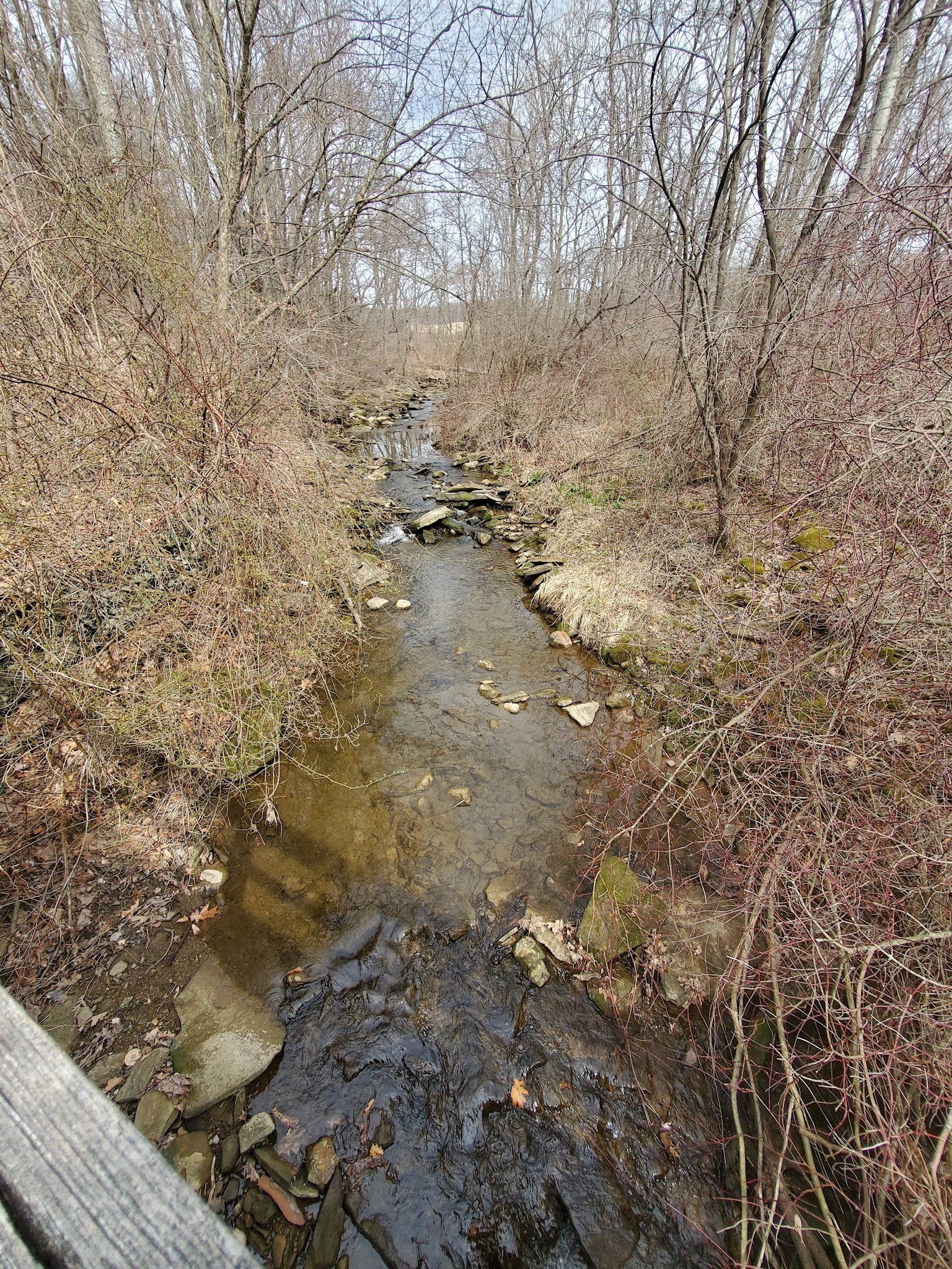 Maurice K Goddard State Park