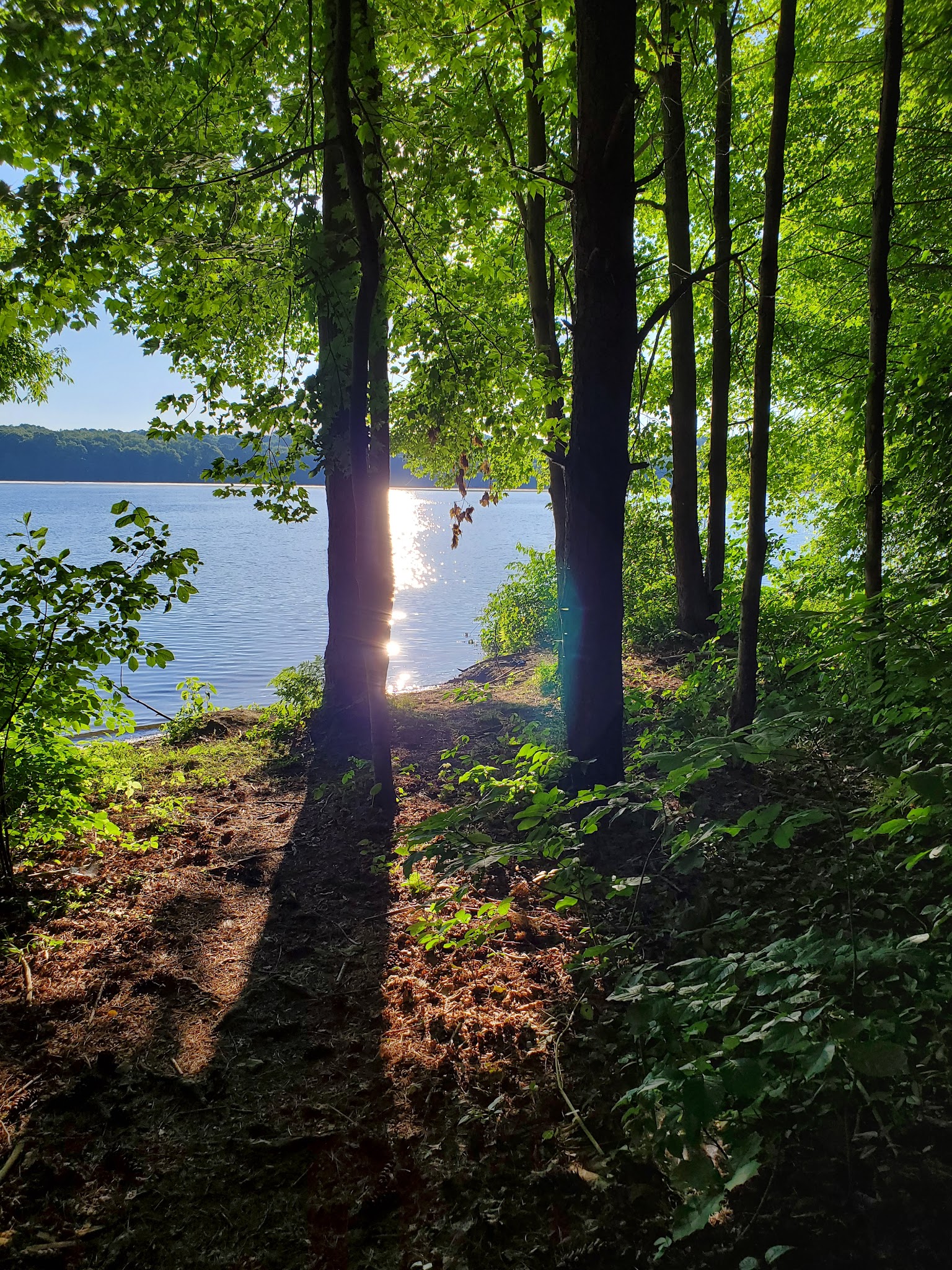 Maurice K Goddard State Park