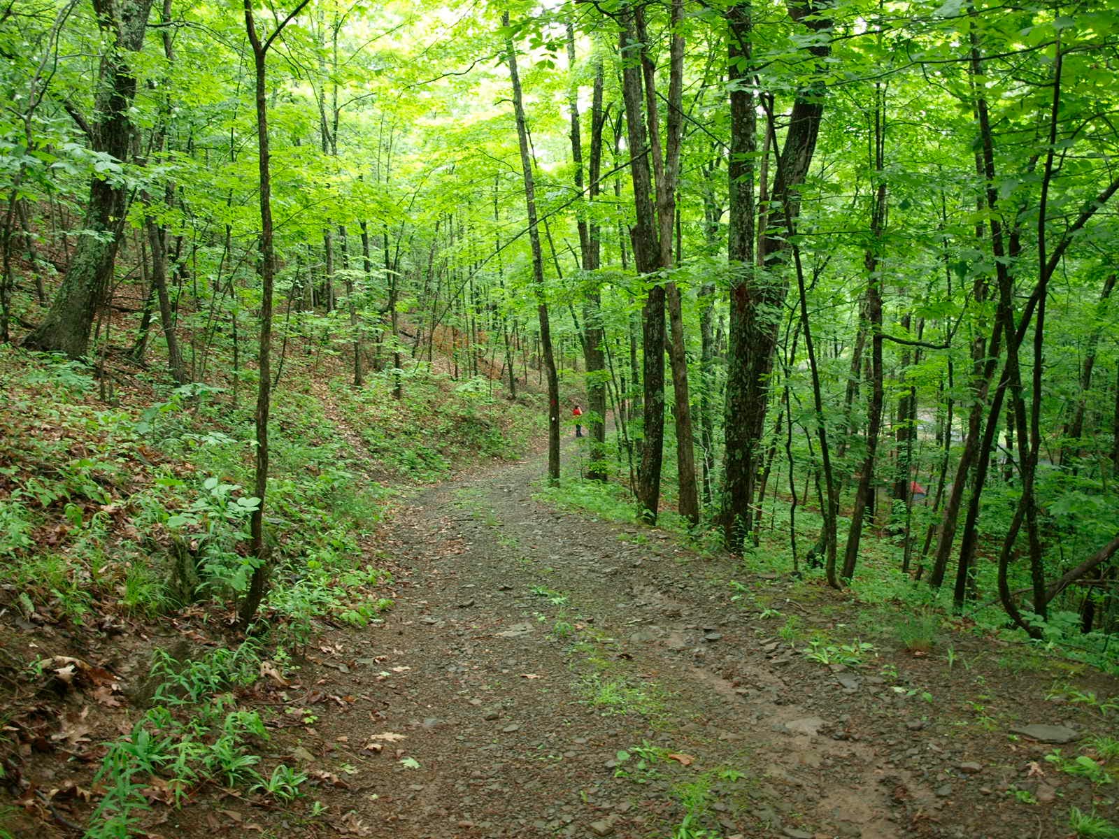 Max V. Shaul State Park
