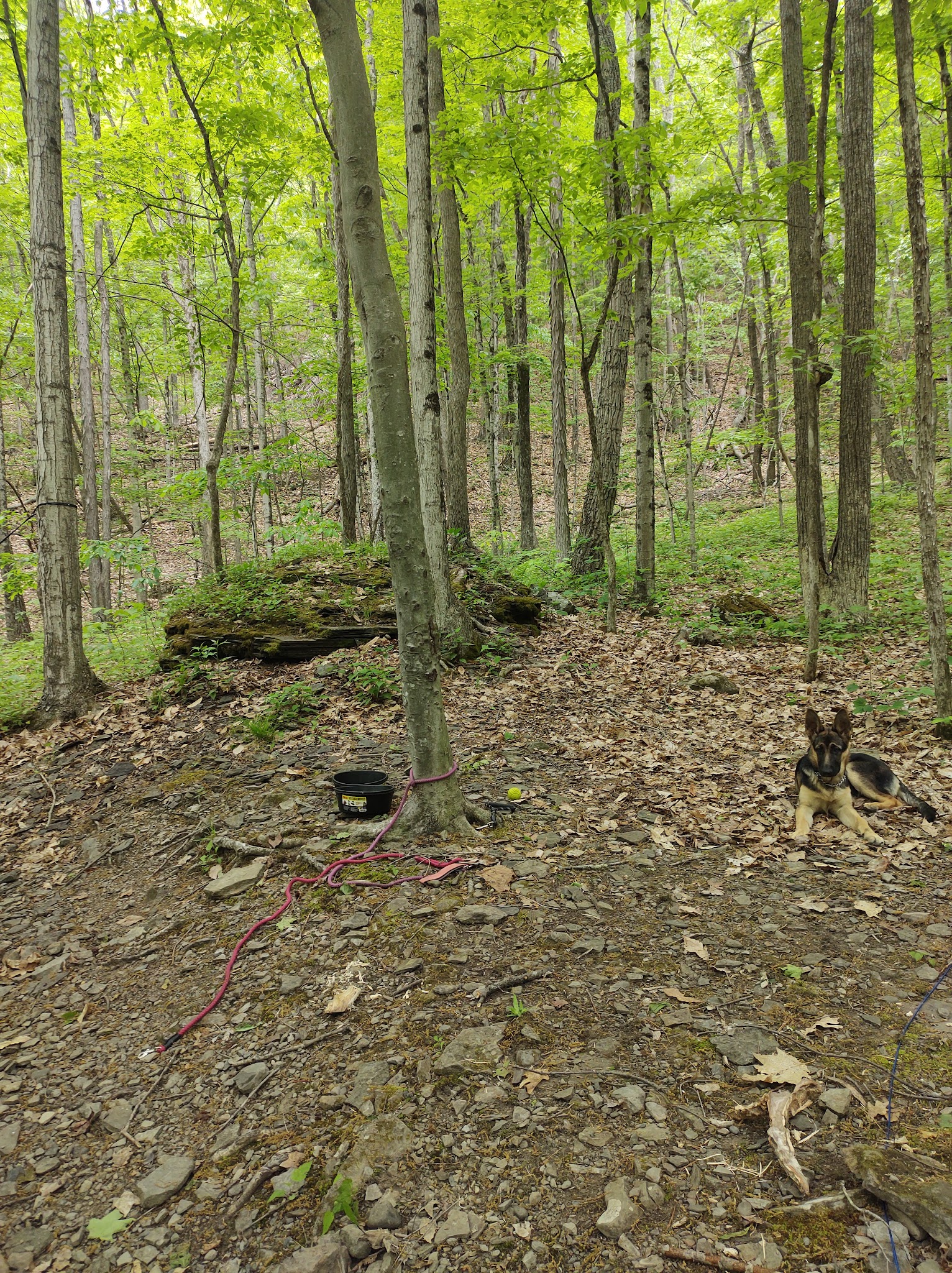 Max V. Shaul State Park